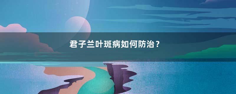 君子兰叶斑病如何防治？