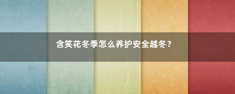 含笑花冬季怎么养护安全越冬？