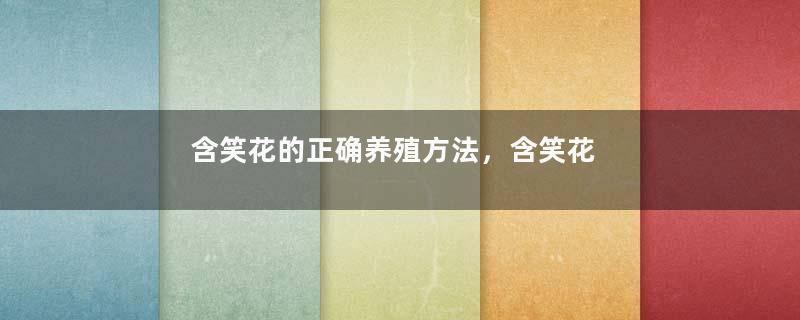 含笑花的正确养殖方法，含笑花有毒吗？