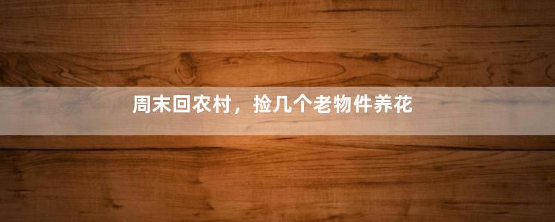 周末回农村，捡几个老物件养花，竟然特别上档次！