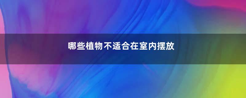 哪些植物不适合在室内摆放