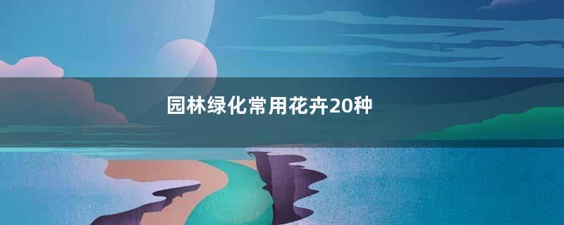 园林绿化常用花卉20种