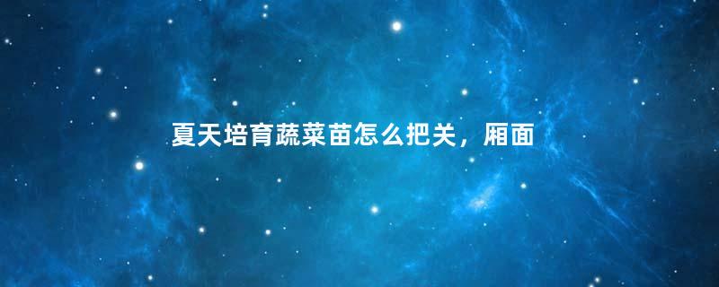 夏天培育蔬菜苗怎么把关，厢面要浇透水