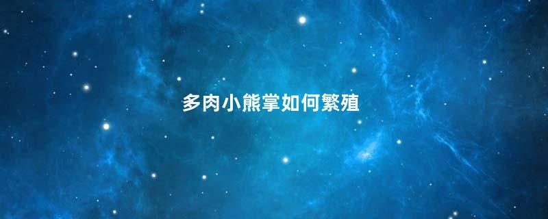 多肉小熊掌如何繁殖
