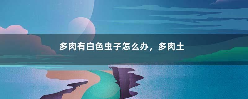 多肉有白色虫子怎么办，多肉土壤怎么除去虫卵