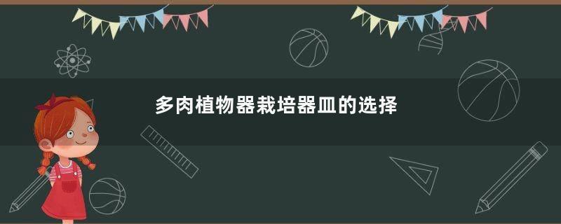 多肉植物器栽培器皿的选择