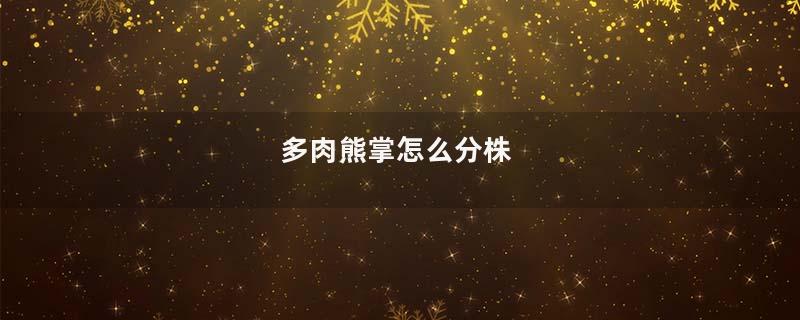 多肉熊掌怎么分株