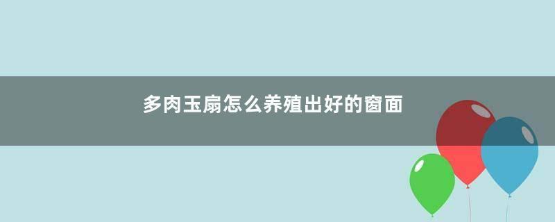 多肉玉扇怎么养殖出好的窗面