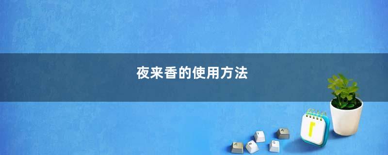 夜来香的使用方法