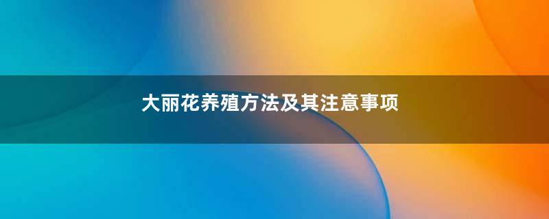 大丽花养殖方法及其注意事项