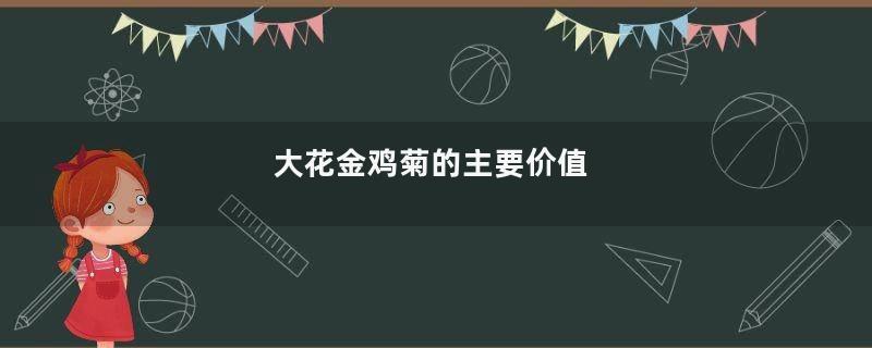 大花金鸡菊的主要价值