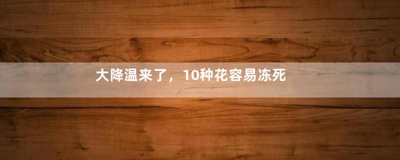 大降温来了，10种花容易冻死，快点救！