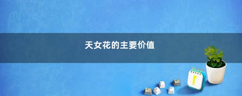 天女花的主要价值