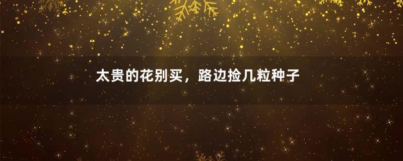 太贵的花别买，路边捡几粒种子，扔盆里就能活！