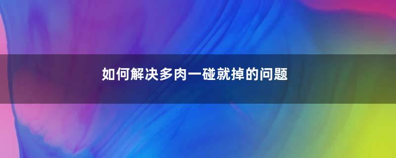 如何解决多肉一碰就掉的问题