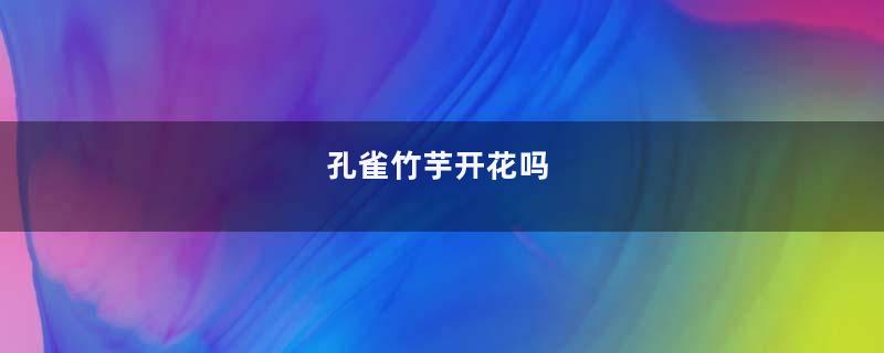 孔雀竹芋开花吗