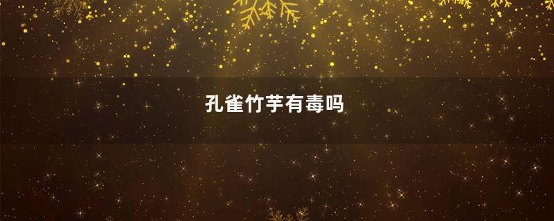 孔雀竹芋有毒吗