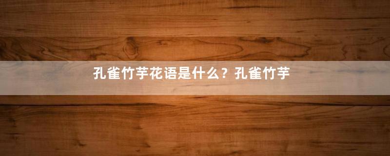 孔雀竹芋花语是什么？孔雀竹芋的花语和寓意