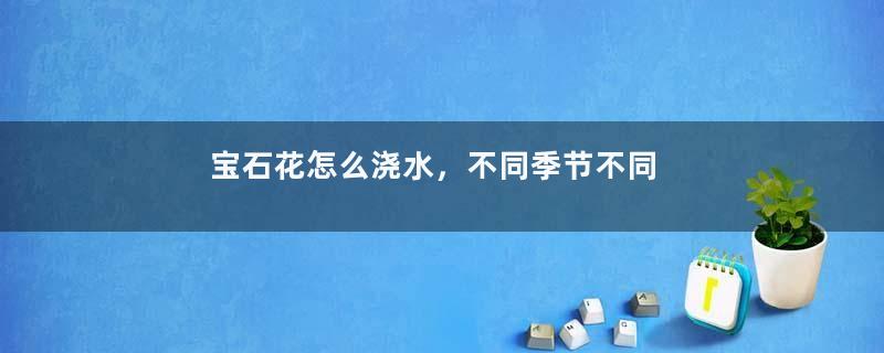 宝石花怎么浇水，不同季节不同浇水量(控水为主)