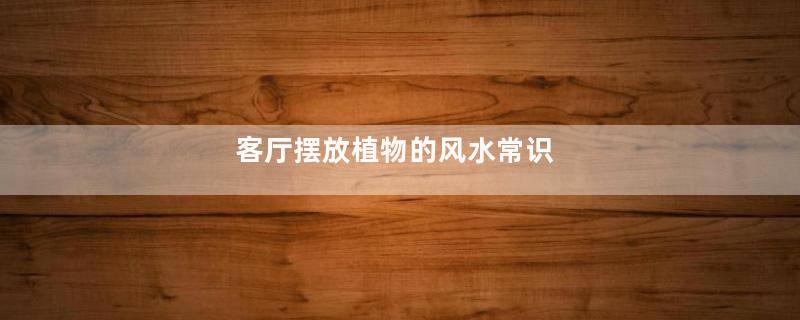 客厅摆放植物的风水常识