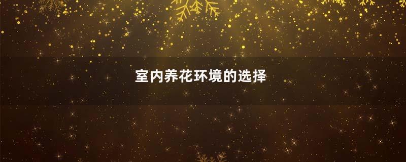 室内养花环境的选择