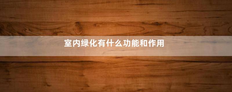 室内绿化有什么功能和作用