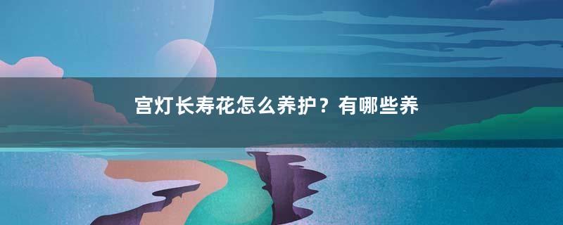 宫灯长寿花怎么养护？有哪些养护方法？