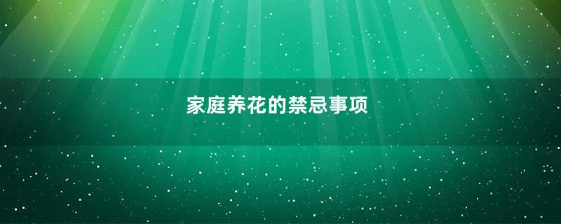 家庭养花的禁忌事项