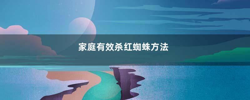 家庭有效杀红蜘蛛方法