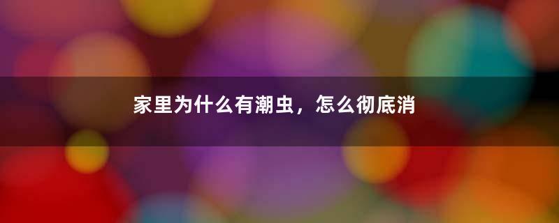 家里为什么有潮虫，怎么彻底消灭