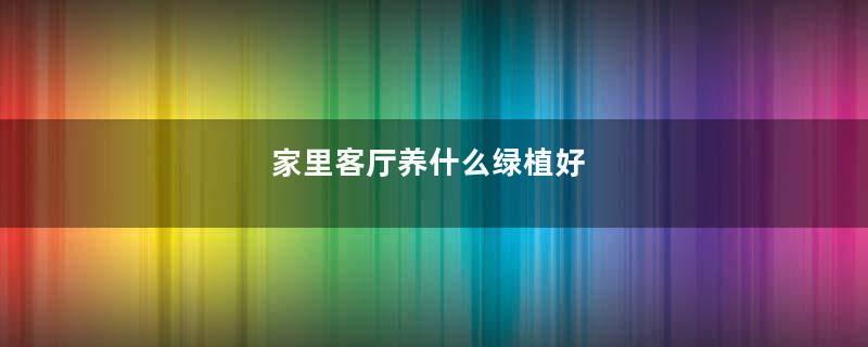 家里客厅养什么绿植好