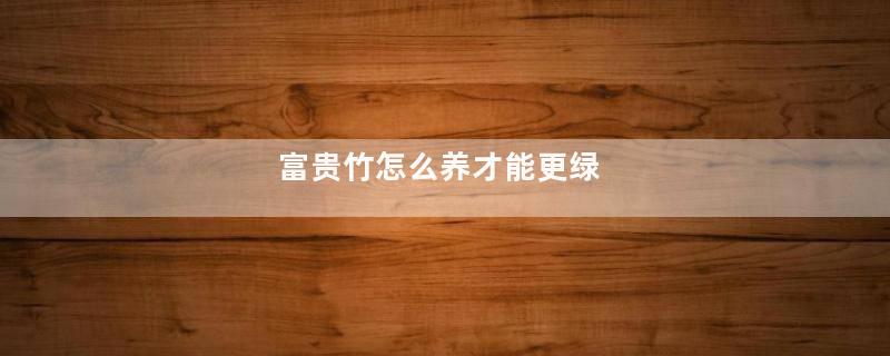 富贵竹怎么养才能更绿