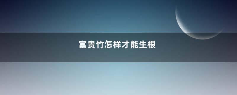 富贵竹怎样才能生根