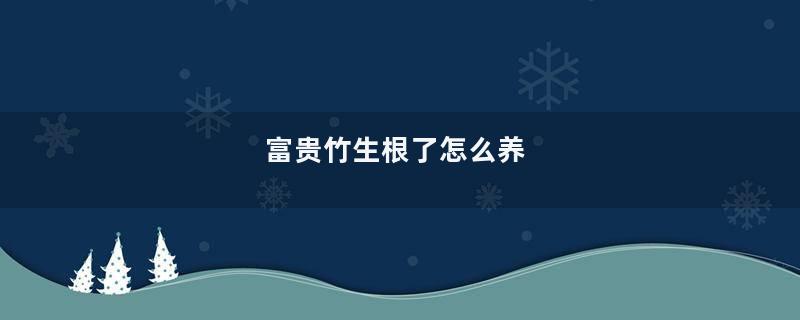 富贵竹生根了怎么养