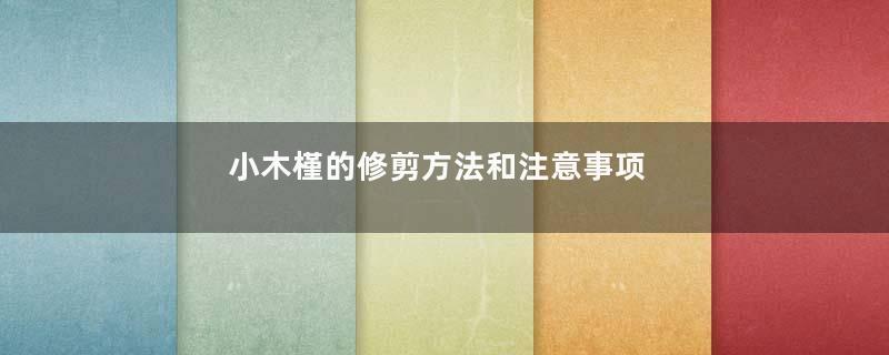 小木槿的修剪方法和注意事项