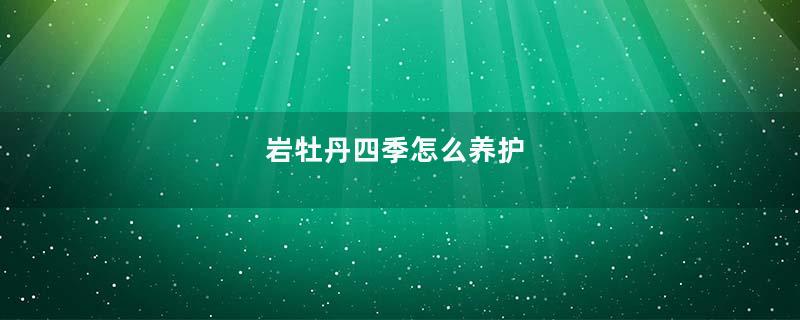 岩牡丹四季怎么养护