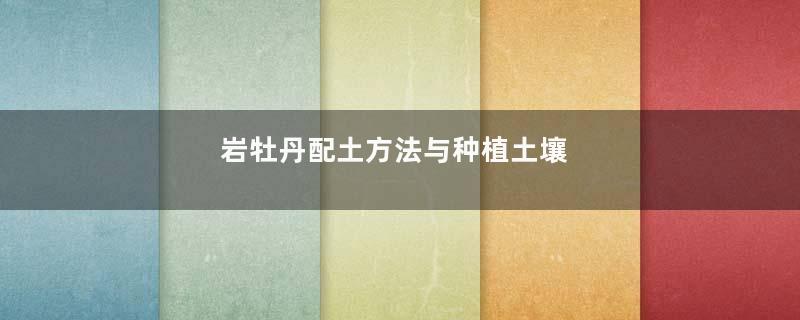 岩牡丹配土方法与种植土壤