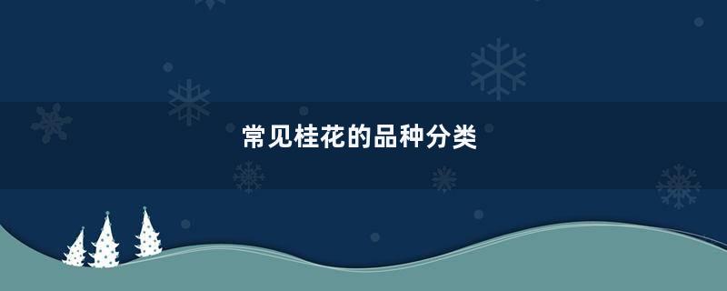 常见桂花的品种分类