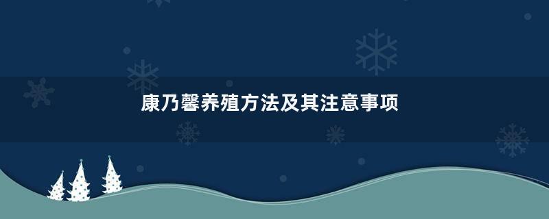 康乃馨养殖方法及其注意事项