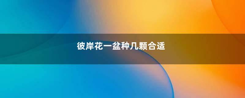 彼岸花一盆种几颗合适