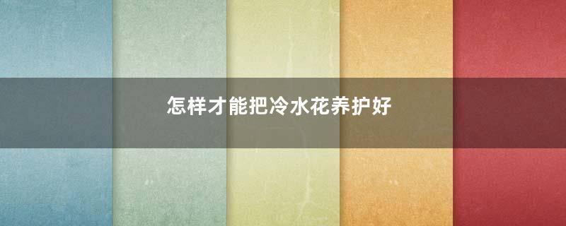 怎样才能把冷水花养护好