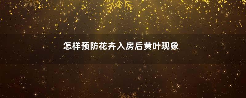 怎样预防花卉入房后黄叶现象