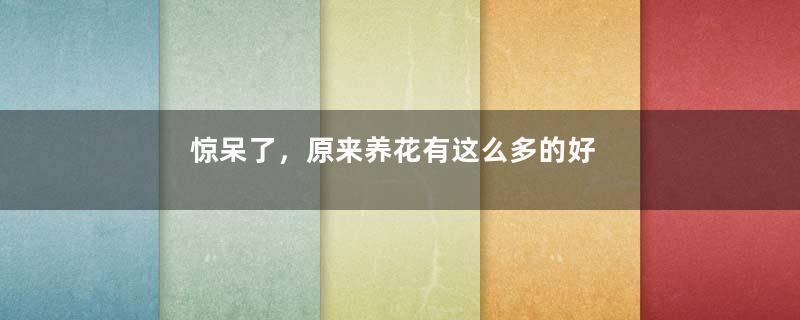 惊呆了，原来养花有这么多的好处！