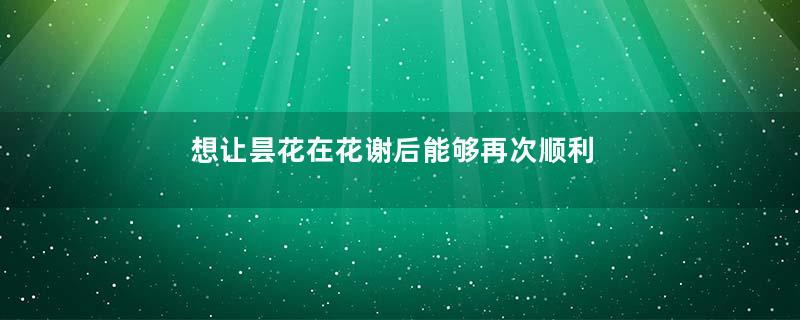 想让昙花在花谢后能够再次顺利开花，花后的处理非常关键！