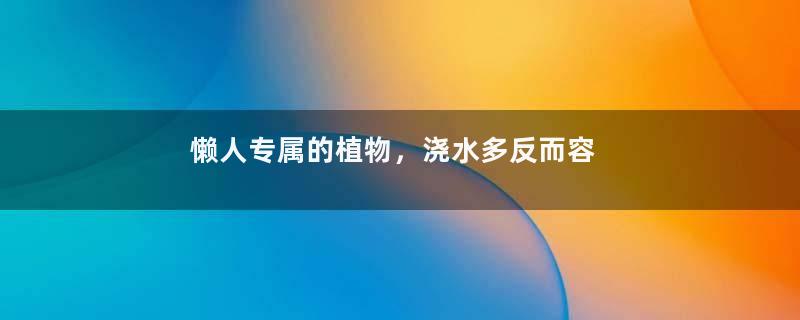 懒人专属的植物，浇水多反而容易死的植物