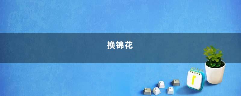 换锦花