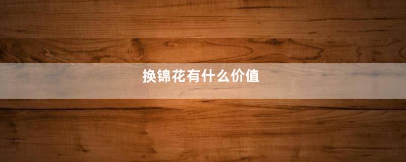 换锦花有什么价值