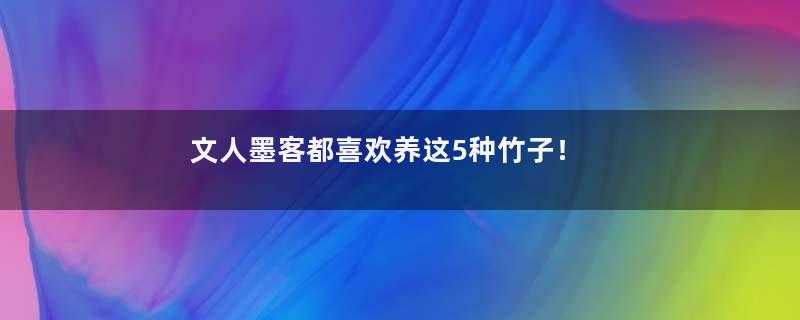 文人墨客都喜欢养这5种竹子！