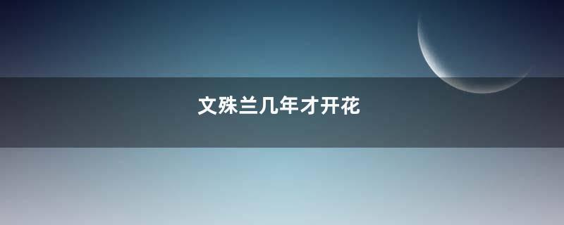 文殊兰几年才开花