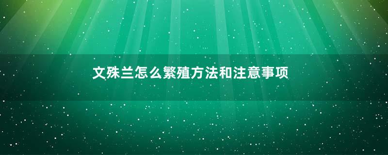 文殊兰怎么繁殖方法和注意事项